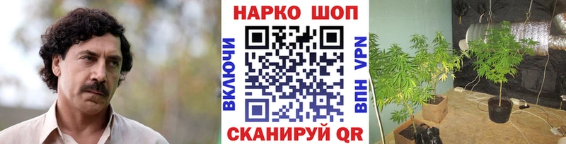 Наркошоп купить Псилоцибиновые грибы  A PVP  ГАШИШ  Меф  Конопля  Венёв