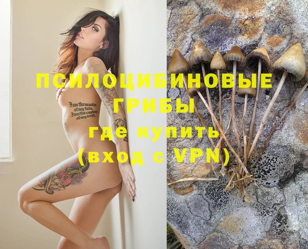 таблы Каменск-Шахтинский