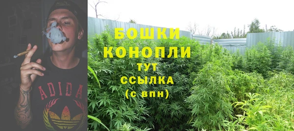 трава Каменка