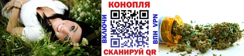 Купить закладки  Венёв  Бошки марихуана семена 